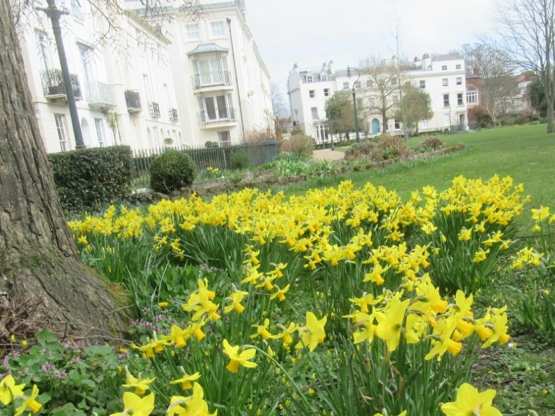 Spring Landscape (Under 18s) Winner - Jack Peacock *£300 Raised*